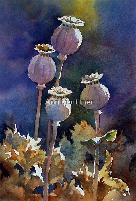 "Poppy Seed Heads" by Ann Mortimer | Redbubble