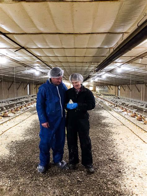 A Visit to a Chicken Farm: Learning about Chicken Production