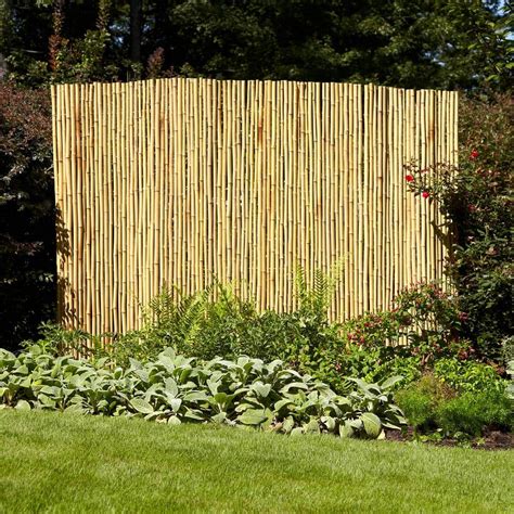 Reviews for Vigoro 6 ft. x 8 ft. Natural Full Round Bamboo Fence - The ...