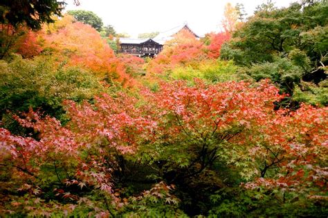 The Colors of Autumn: 7 Places to Enjoy the Autumn Scenery in Japan