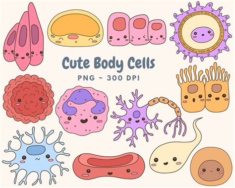 Cells Clipart