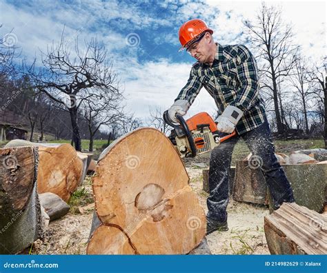 Lumberjack with Chainsaw Working Stock Image - Image of construction ...