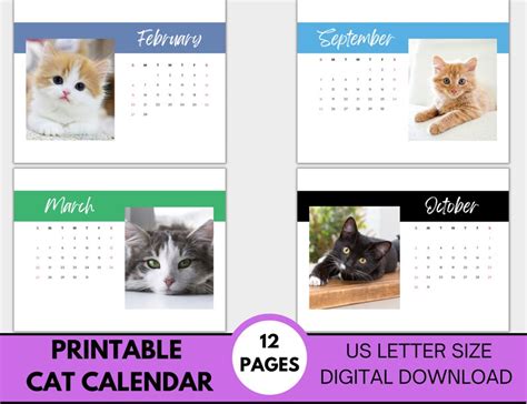 2024 Cat Printable Calendar, 2024 Printable Cat Calendar, Printable Cat ...