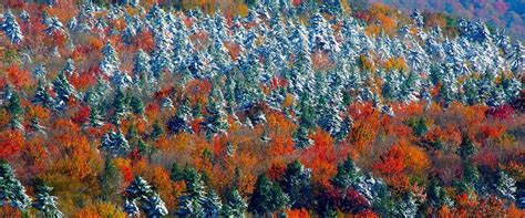 Get the shot: autumn in the mountains - Almost Heaven - West Virginia