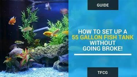 55 Gallon Fish Tank Setup: How To Set Up A 55 Gallon Aquarium