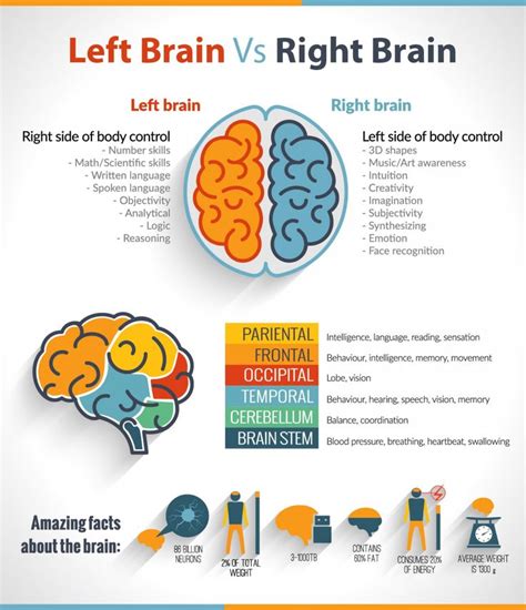 37 best images about Left brain Right brain on Pinterest | Confusion ...