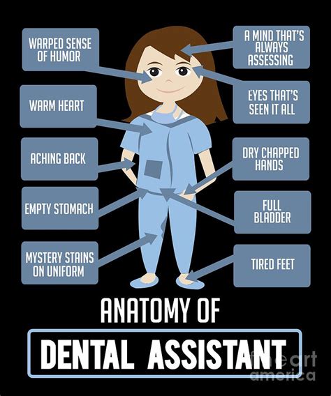 Funny Dentist Quote Anatomy of Dental Assistant Digital Art by ...