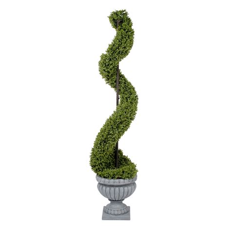 Boxwood Spiral Topiary, 64-in. | At Home