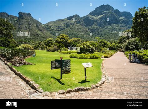 Botanical Gardens, Cape Town, South Africa Stock Photo - Alamy