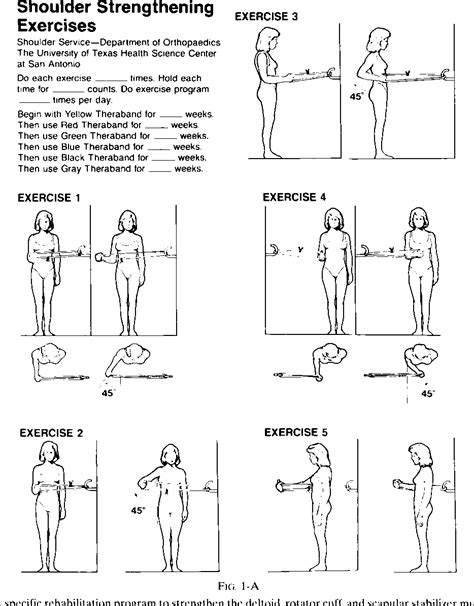 [PDF] Treatment of instability of the shoulder with an exercise program ...