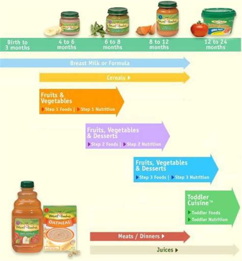 When to start Solid foods for baby and Baby Feeding Schedule | HubPages