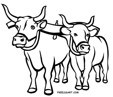 Ox Black And White Clipart