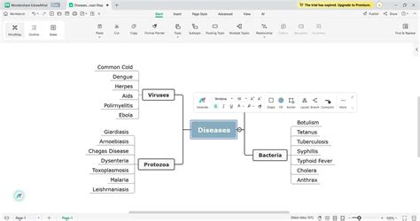 Simple Concept Map Examples