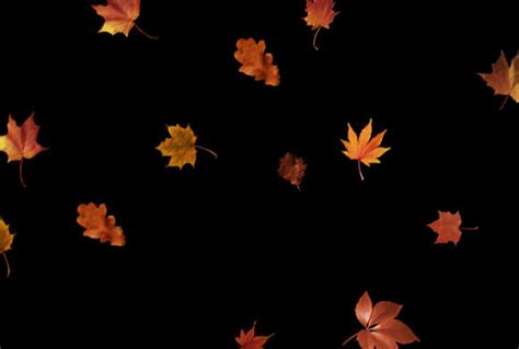 Free Leaf Overlays for Photoshop – 300 Autumn Overlays