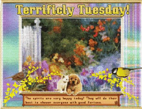 Terrific Tuesday GIF - Terrific tuesday - Discover & Share GIFs