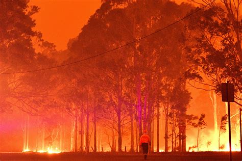 Australian bushfires: what should you do if you have a trip booked ...