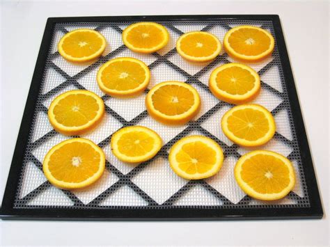 Dehydrated Orange Slices