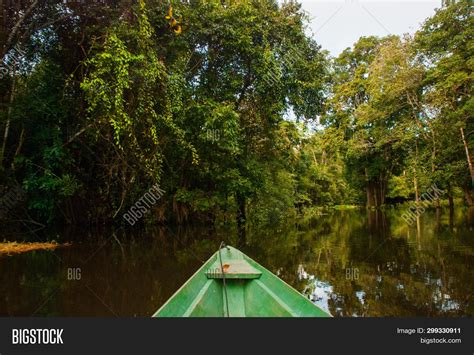 Amazon River, Manaus, Image & Photo (Free Trial) | Bigstock