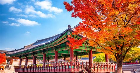 The Best Places to Visit During Autumn in Korea for Every Traveler