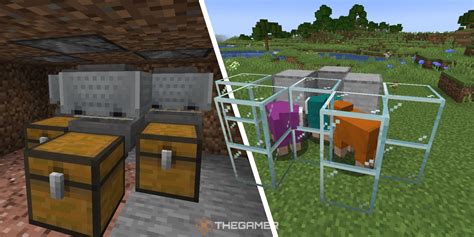 Minecraft: How To Make A Wool Farm