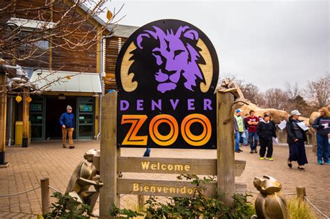 Denver Zoo Scavenger Hunt: City Park Pursuit-a-Palooza | Let's Roam