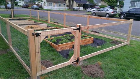 Vegetable garden fence chicken wire | Hawk Haven