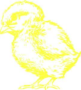 Yellow Chick Clip Art at Clker.com - vector clip art online, royalty ...