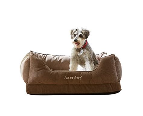 9 Best Cooling Dog Bed Brands for Hot Weather in 2019