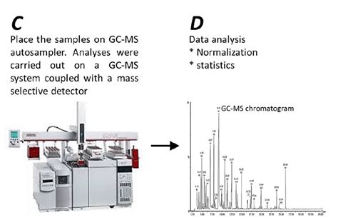 Workflow of GC-MS running and Data analysis | Download Scientific Diagram