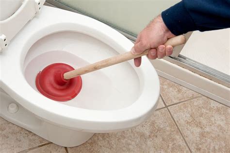 Information and Details on Common Plunger Types