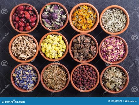 Mix of herbs stock photo. Image of closeup, herb, medicine - 103081574