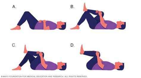 Lower Back Exercise Chart