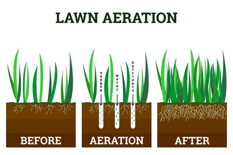 How to Aerate Your Lawn? — Our Guide with Tips (that Work)