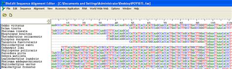 2: A nucleotide sequence alignment visualized in BioEdit. | Download ...