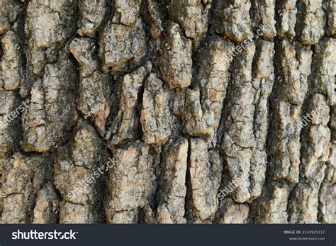 Beautiful Bright Decorative Wood Texture Background Stock Photo ...