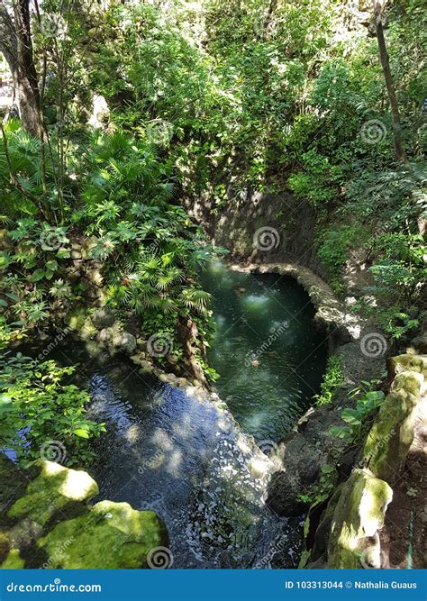 XCaret eco park stock photo. Image of city, flora, pyramids - 103313044