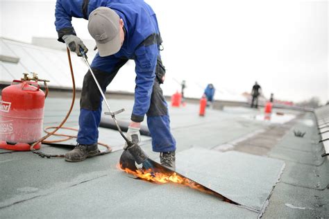 7 Flat Roof Maintenance Tips to Keep Your Roof In Good Shape