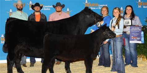 Angus Cattle Show Team Triumphs at Houston Livestock Show · Angelo ...