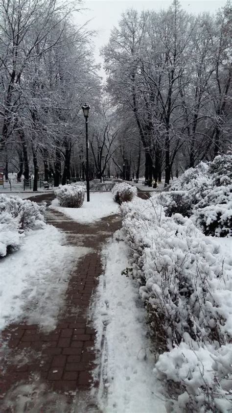 Park Alley Frost Frosty Hoar Landscapes Natura Season Snow Scenery ...