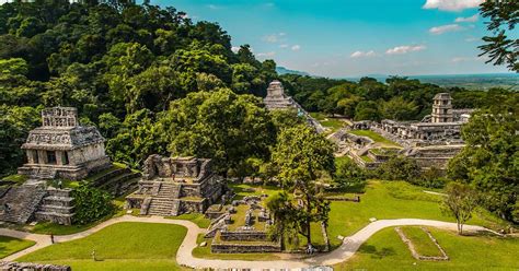 Ancient Mayan City of Palenque Was Home to a Legendary King (Video ...