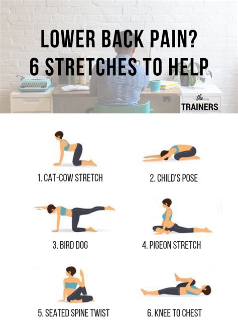 Lower Back Pain? 6 Stretches To Help | Fitness Article | The Trainers