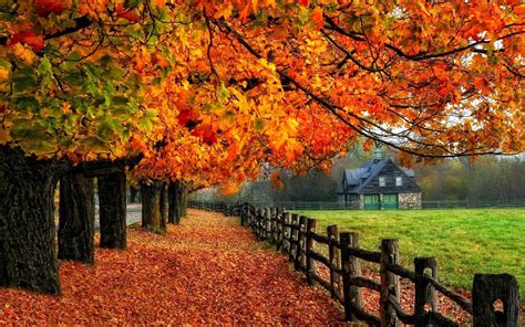 Autumn Fall Tree House Fenc Autumn Wallpaper Examples - High Resolution ...