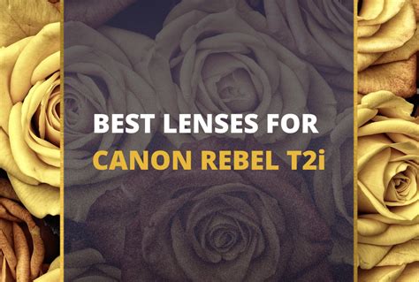 Expert Picks: Top 5 Lenses for Canon Rebel T2i in 2023 [Must-Read] 📸