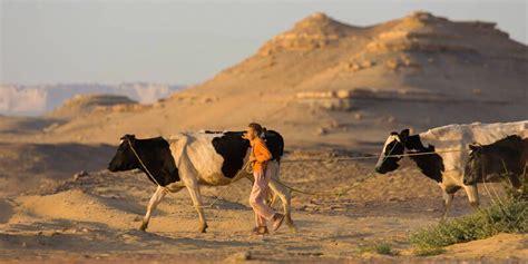 Western Desert in Egypt: Crossing Borders to Explore Deserts