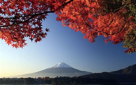 HD wallpaper: Leaves Mt Fuji Mountain Landscape HD, nature | Wallpaper ...