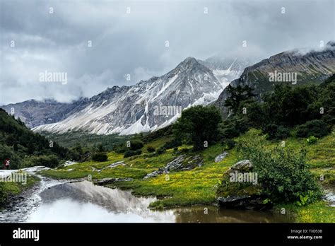 Snowy mountain meadow scenery (beautiful snow mountains, charming ...