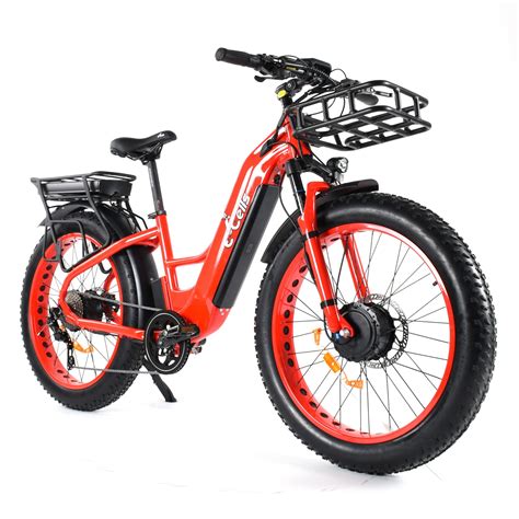 Mid-drive fat tire bike for a big guy! | Electric Bike Forums