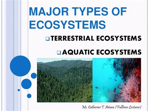 4 Types Of Ecosystems