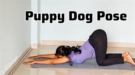 How to do Puppy Dog Pose | Uttana Shishosana | Shashankasana Variations ...