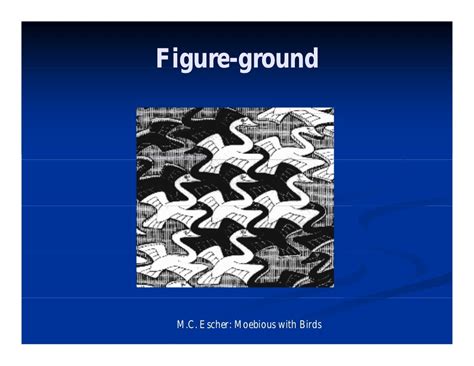 Visual perception-illusions-paradoxes